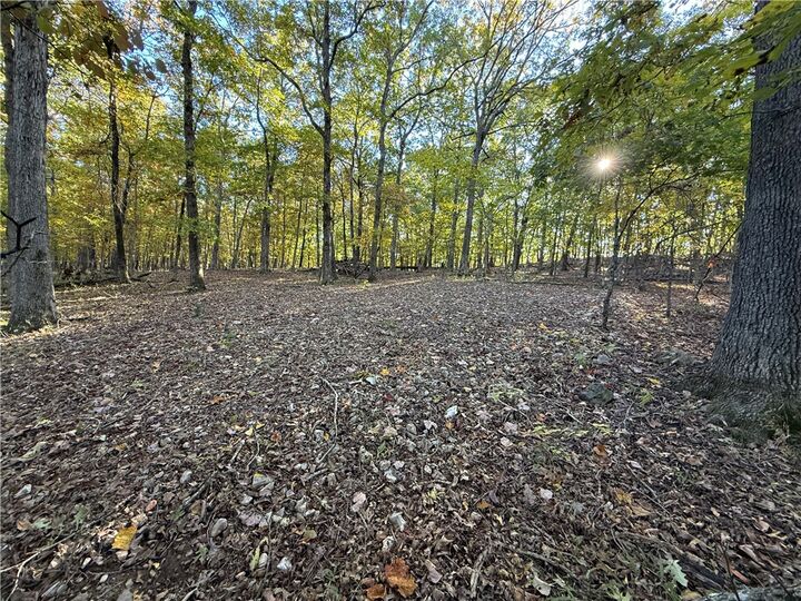 Tbd Cr 114  Eureka Springs KS 72632 photo