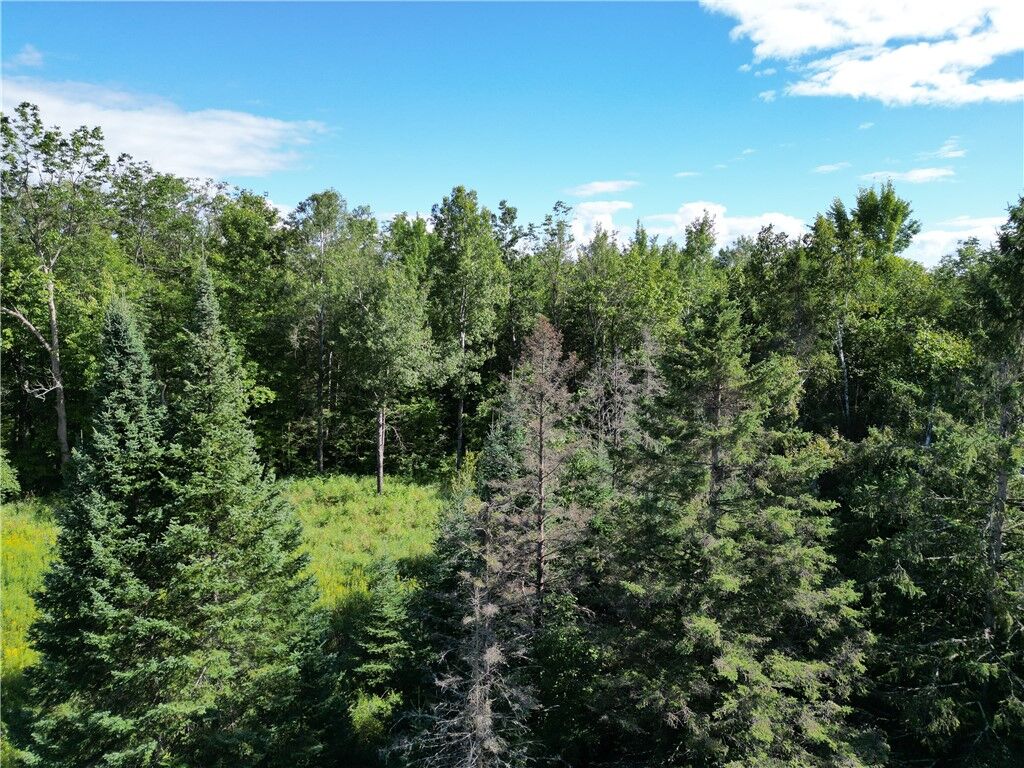 Property Photo:  40 Acres Fetke Road  WI 54819 