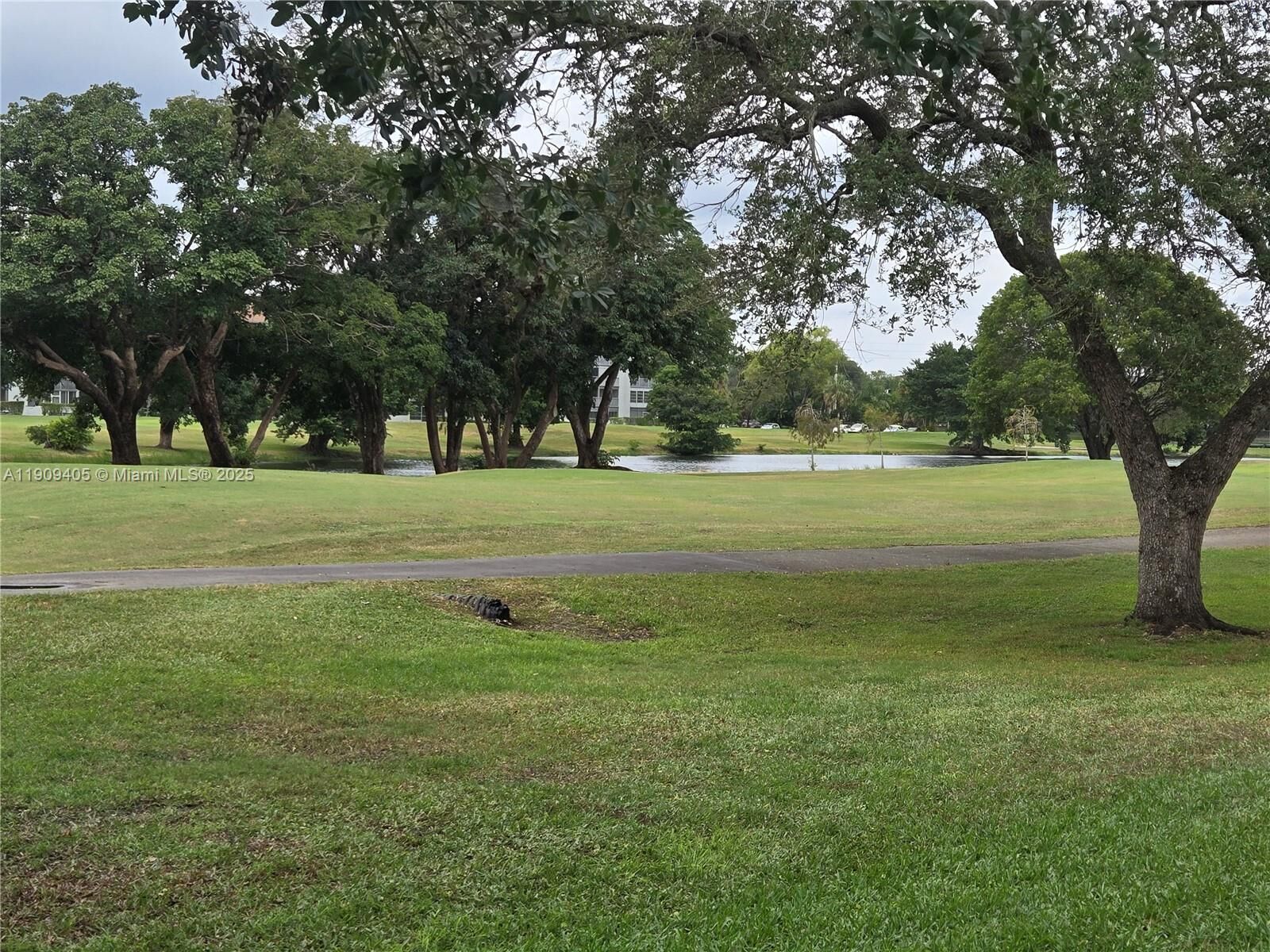 Property Photo: 300 SW 130th Ter 413B FL 33027