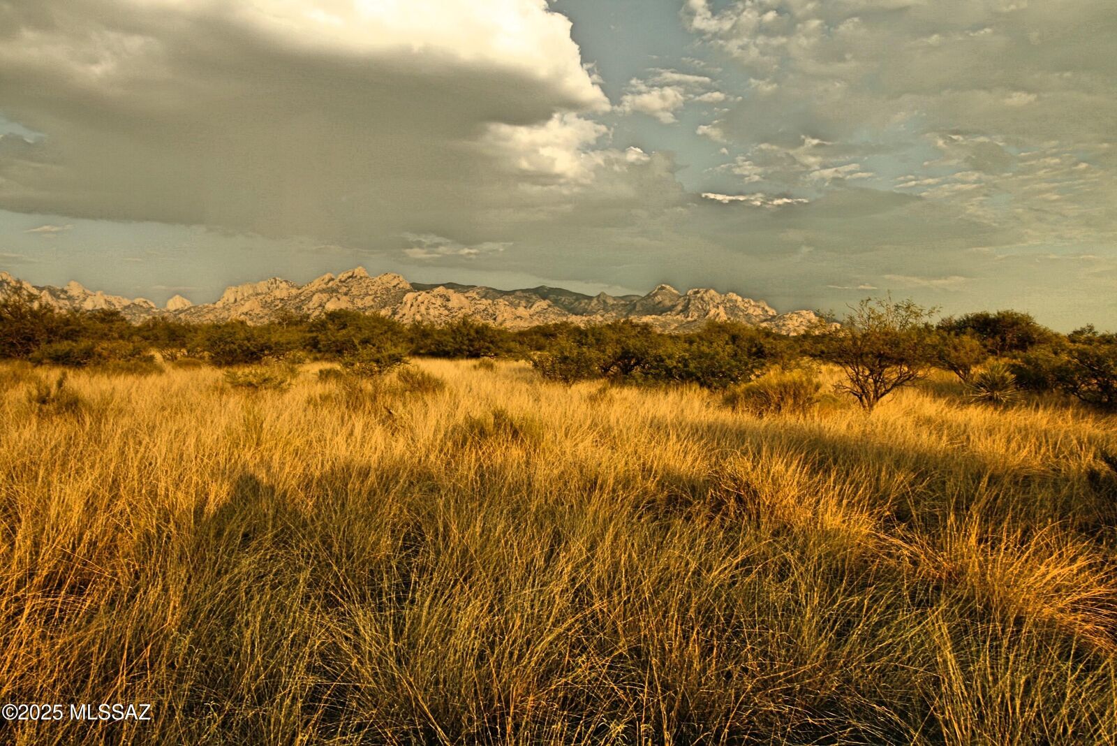 Property Photo: Lot 17 N Dragoon Ranch Road 17 AZ 85630