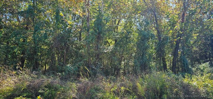 000000 E 1030 Road  Sallisaw OK 74955 photo