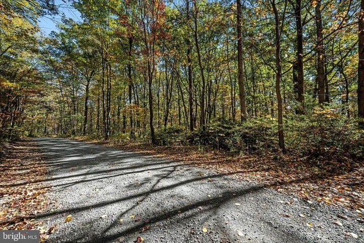 Property Photo:  0 Hedrick Ln  VA 22602 