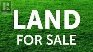 Property Photo:  241 Main Road  NL  