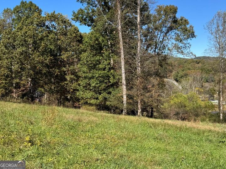 Property Photo: L 13/14 Anns Way GA 30512