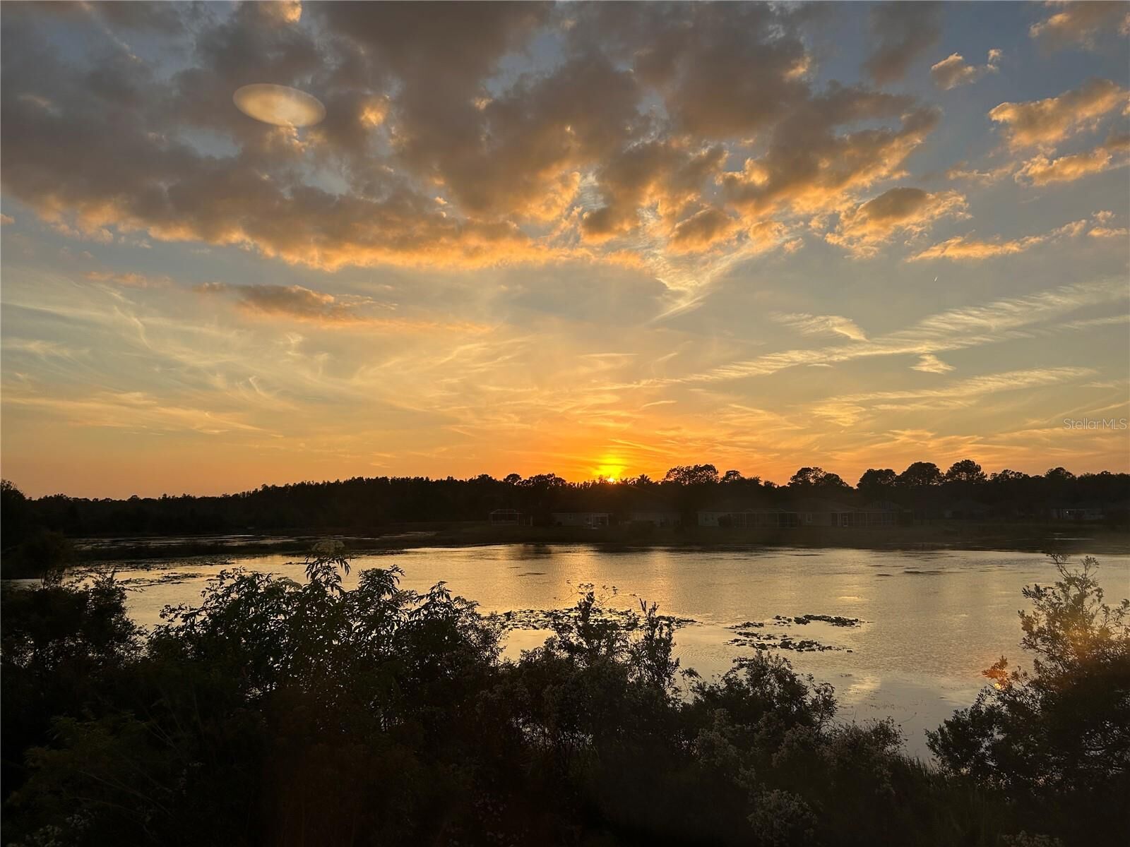 Property Photo: 10144 Arbor Run Drive 70 FL 33647