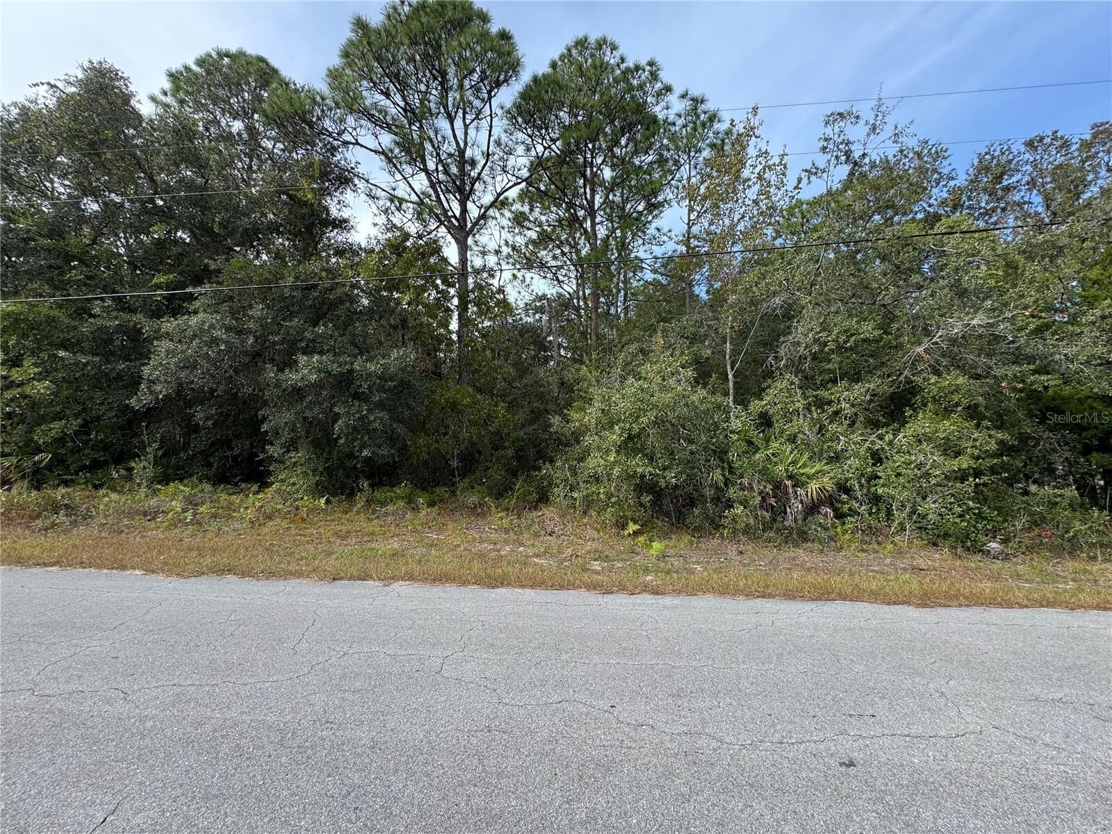 Property Photo: 2830 S Bolton Avenue FL 34448