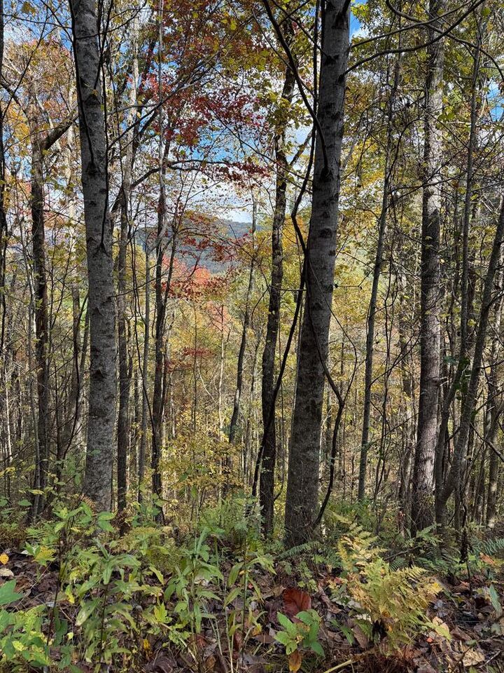 Property Photo:  46/51 Big Secret Ln  NC 28906 