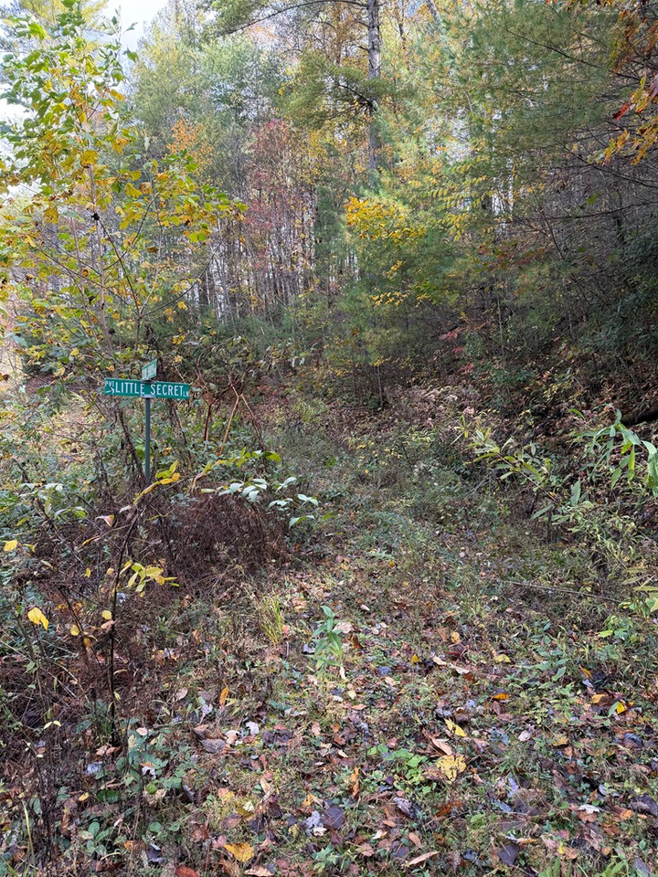 Property Photo: 47/48 Little Secret Ln NC 28906