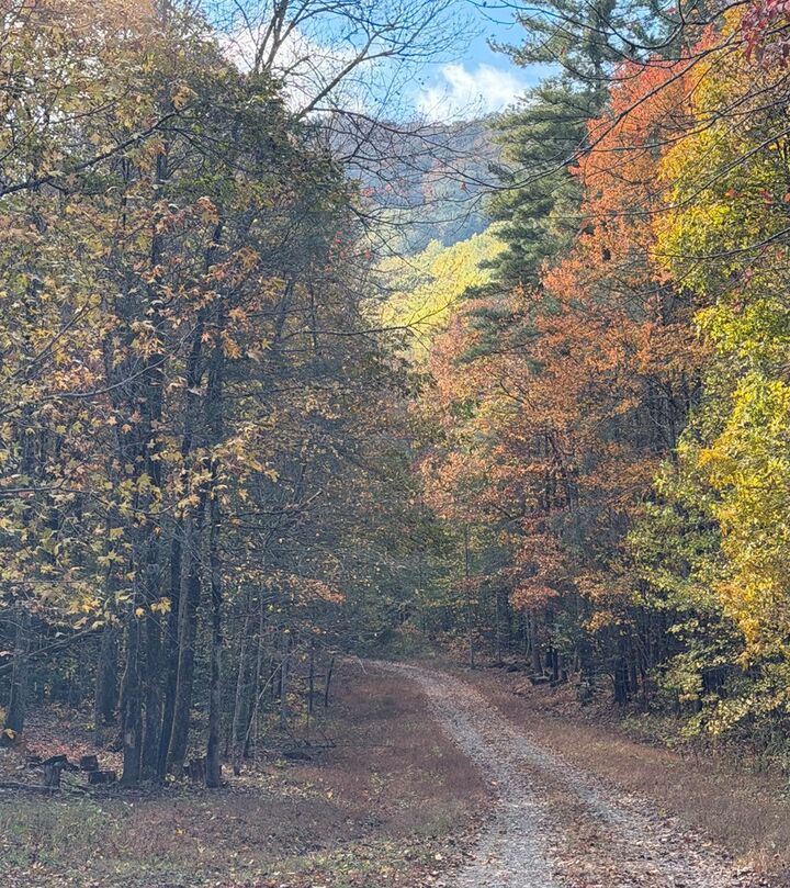 Property Photo:  47/48 Little Secret Ln  NC 28906 