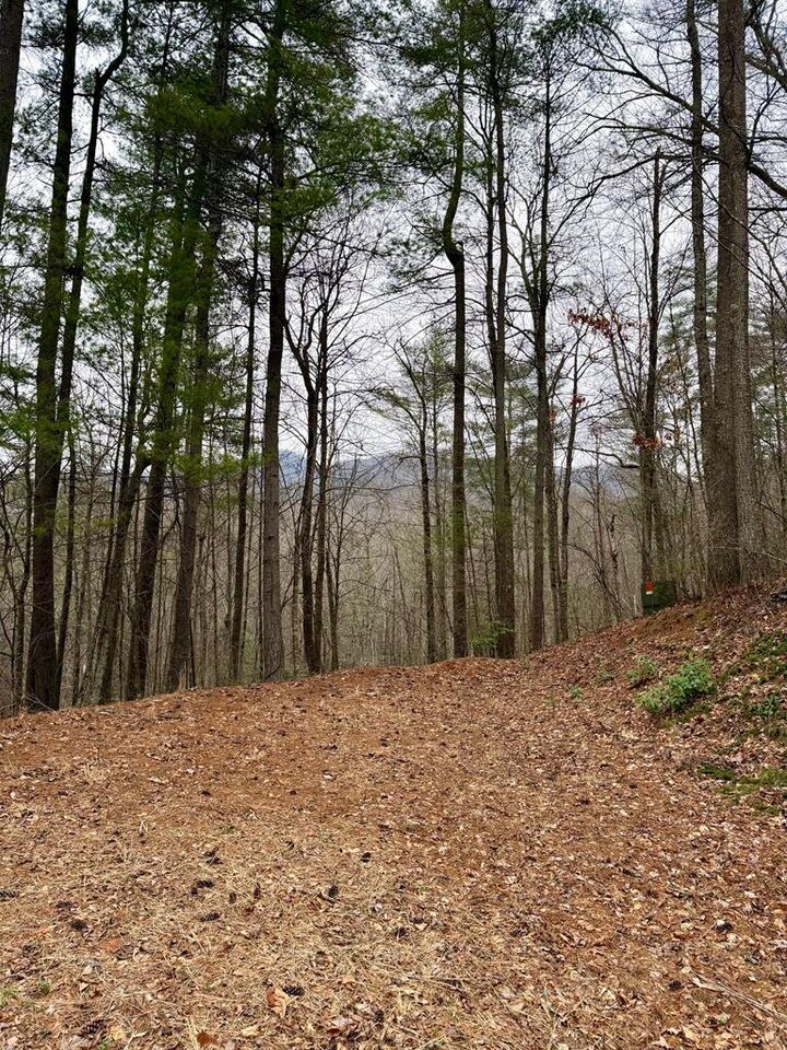 Property Photo:  47/48 Little Secret Ln  NC 28906 