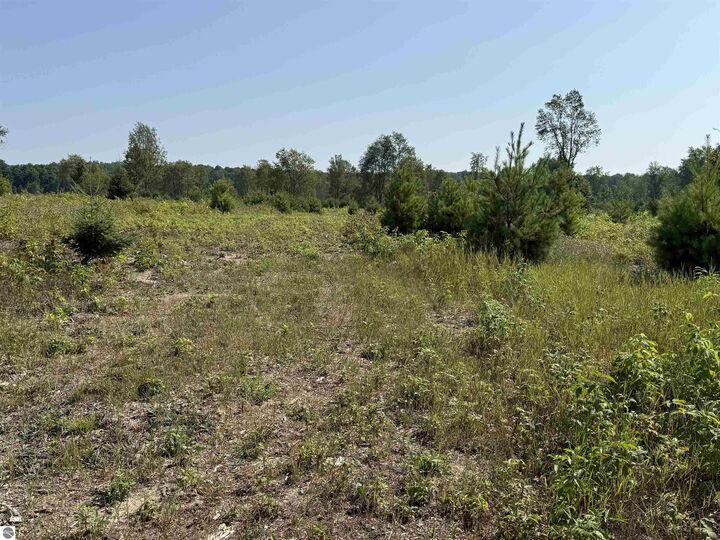 Property Photo:  Parcel A7 S Bright Road  MI 49664 