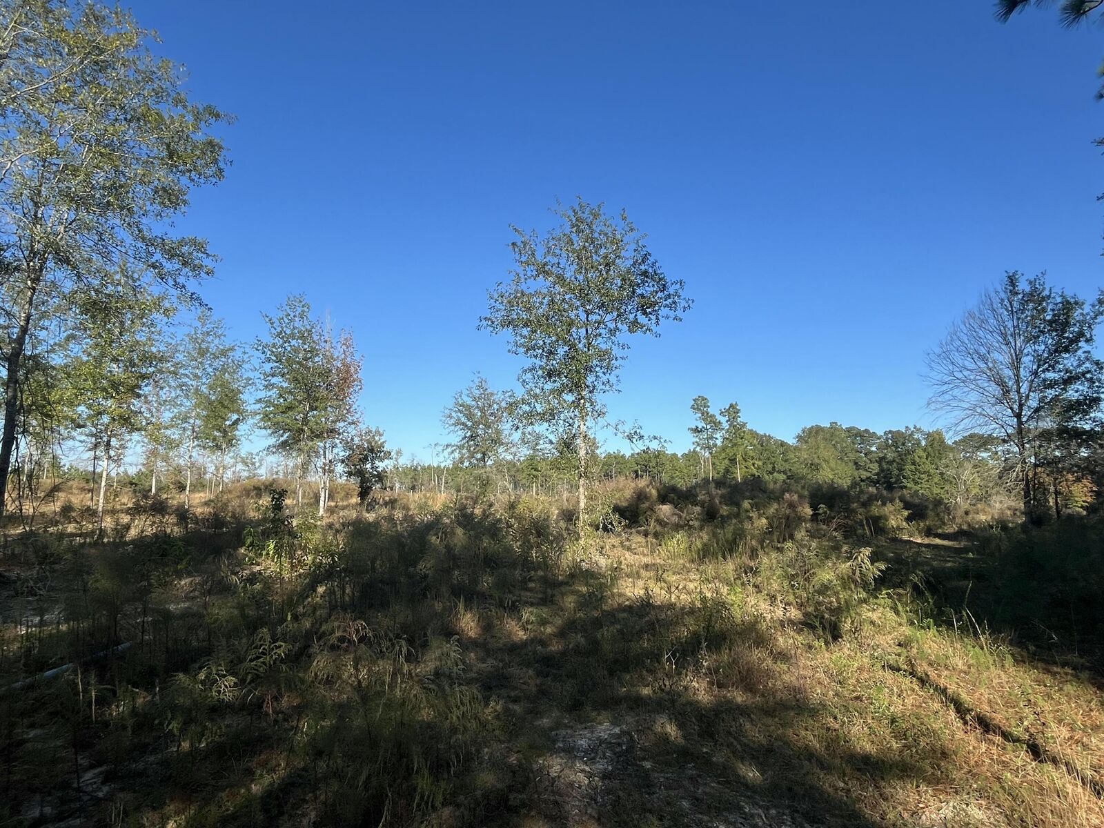 Property Photo:  Tbd Highway 112  LA 70634 