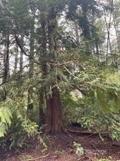 Property Photo: 11307 114th Street Ct WA 98303