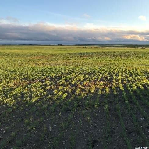 Property Photo:  Rural Address  SK S0G 0R0 