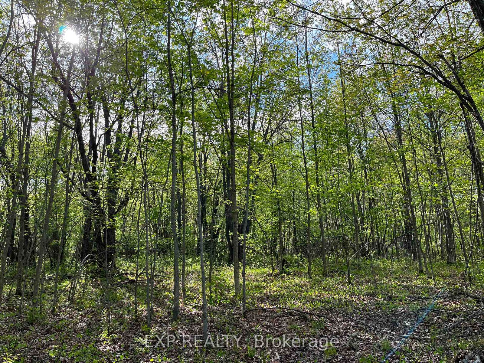Property Photo:  Lot 7 Casson Trail  ON K0J 1B0 