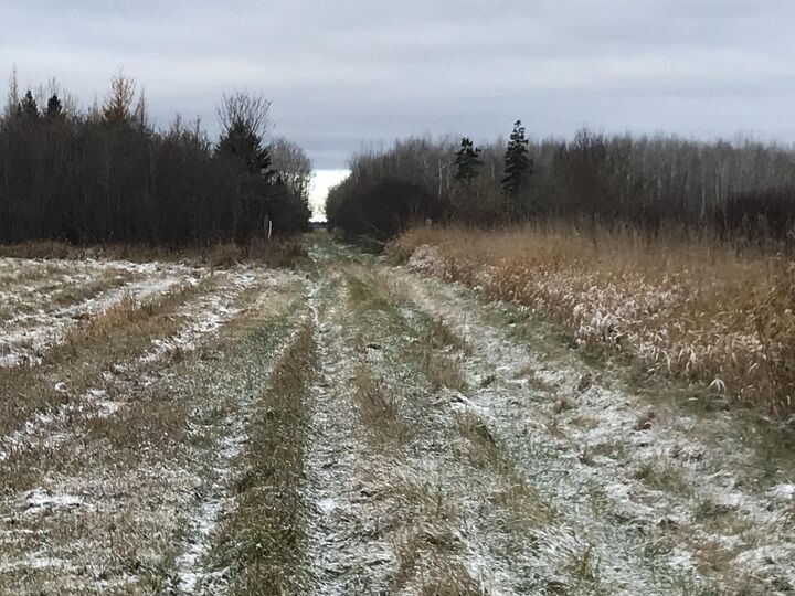 Property Photo: 000 W M-48 Hwy MI 49774