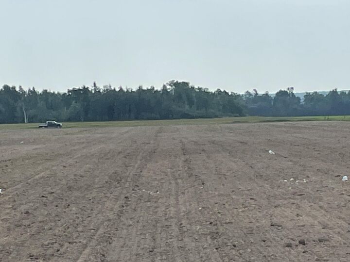 Property Photo:  000 W M-48 Hwy  MI 49774 