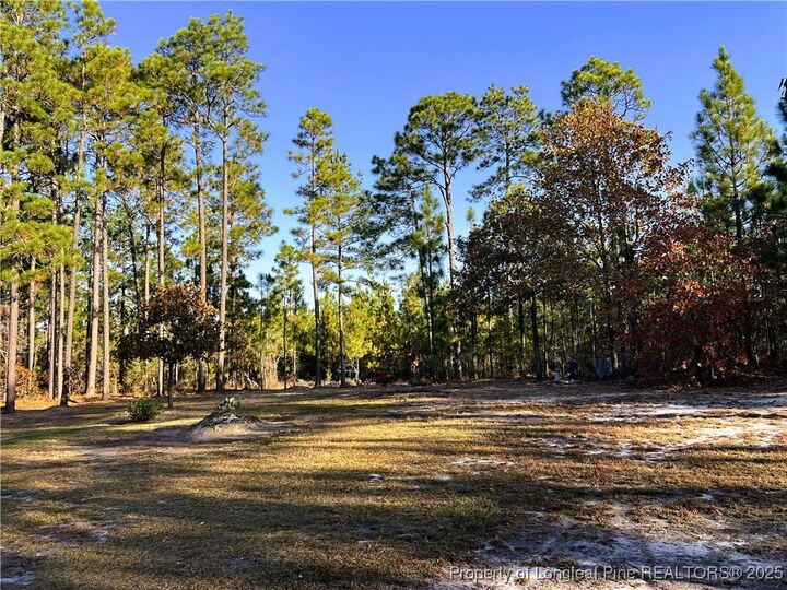 Property Photo:  369 Evans Drive  NC 28326 