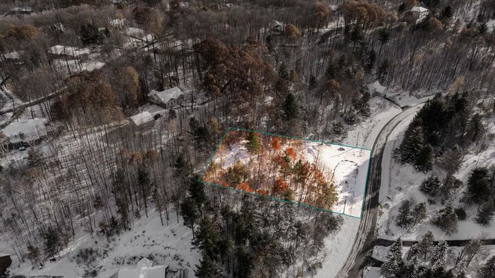 Property Photo:  9394 E Hoxie Road  MI 49621 