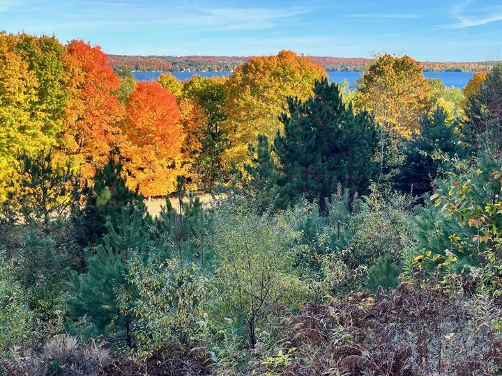 Property Photo:  00 S Lake Shore Drive  MI 49621 