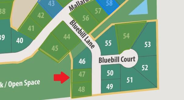 Property Photo:  Lt47 Bluebill Ln  WI 53024 