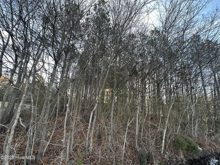 Property Photo:  Tbd Pine Street  NC 27820 