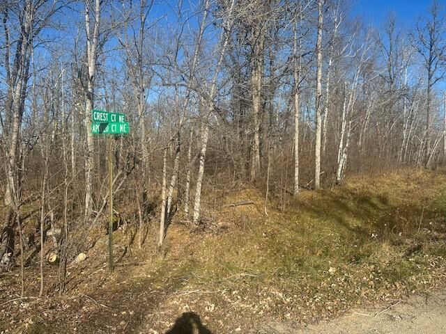 Property Photo: Tbd Crest Court NE MN 56601