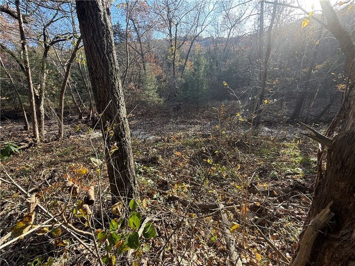 Property Photo: Tbd Valley Drive AR 72631