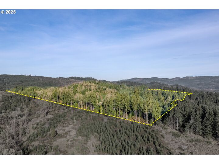Property Photo:  Holly - Lot 2  OR 97424 