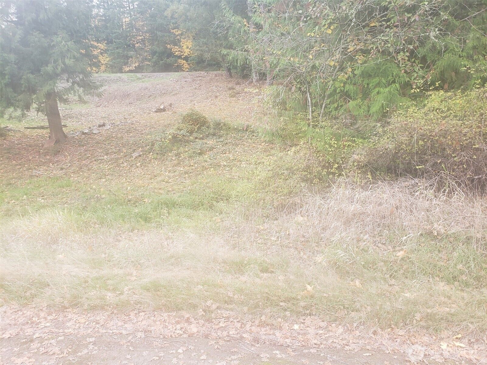 Property Photo:  333  Grade Street  WA 98626 