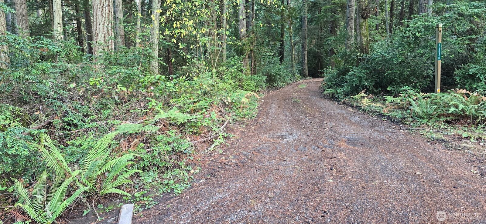 Property Photo:  0 SW Xxx 204th Street  WA 98070 