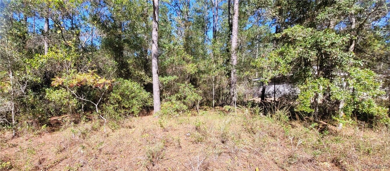 Property Photo:  1837 W Water Lily Drive  FL 34434 