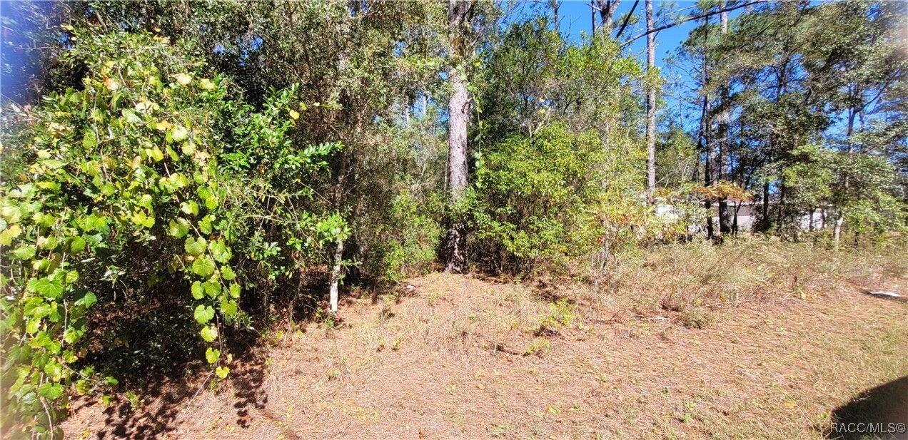 Property Photo: 1837 W Water Lily Drive FL 34434