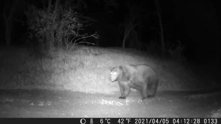 Property Photo:  45171 Balch Park Road  CA 93265 