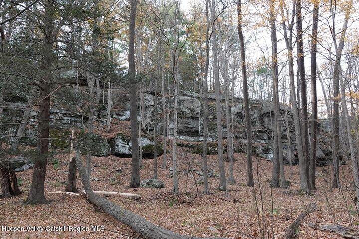 Property Photo:  736 Manorville Road  NY 12477 