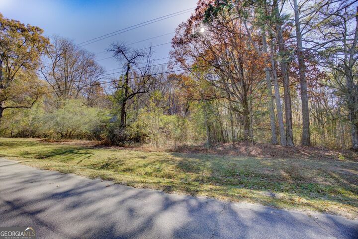 Property Photo: 0 W Richardson GA 30054