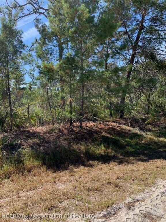 Property Photo:  1224 Cockatoo Avenue  FL 33852 