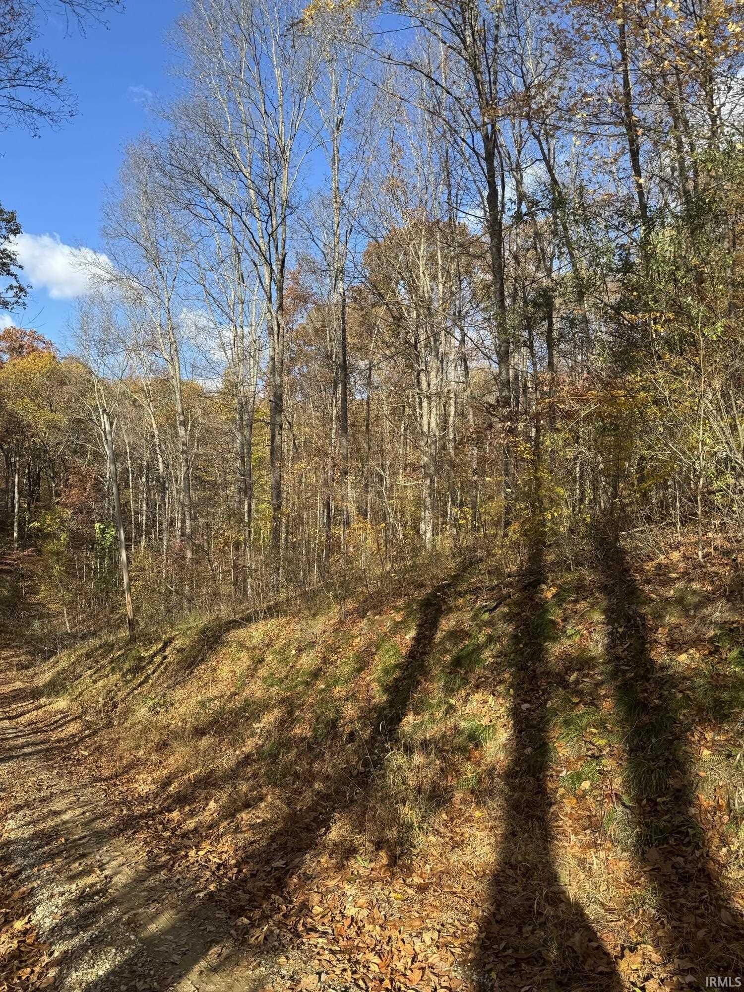 Property Photo: 0 Maple Drive IN 47448