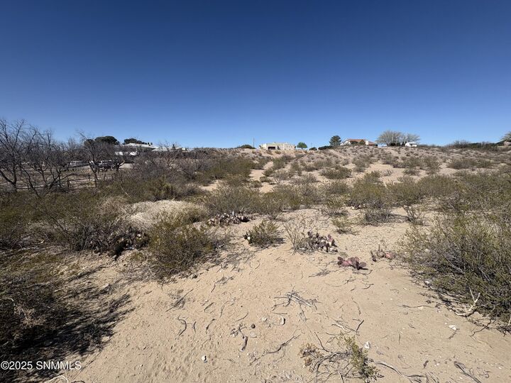 Property Photo:  4131 Johnson Lane  NM 88011 