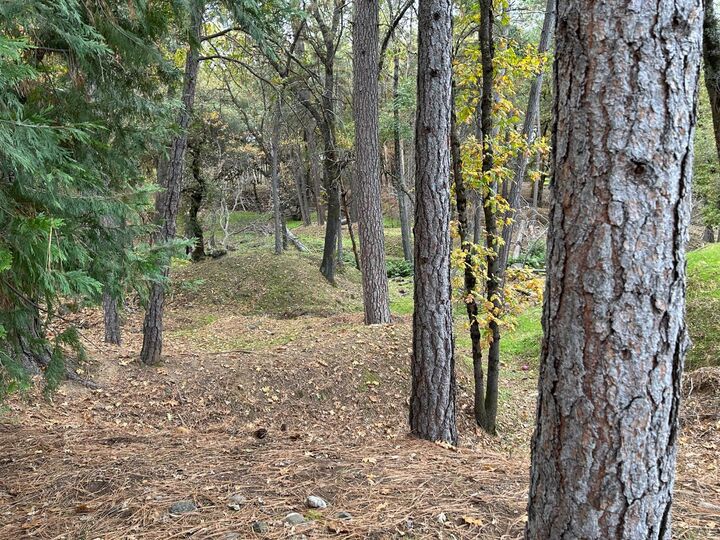 Property Photo:  12884 Golden Trout Way  CA 95946 