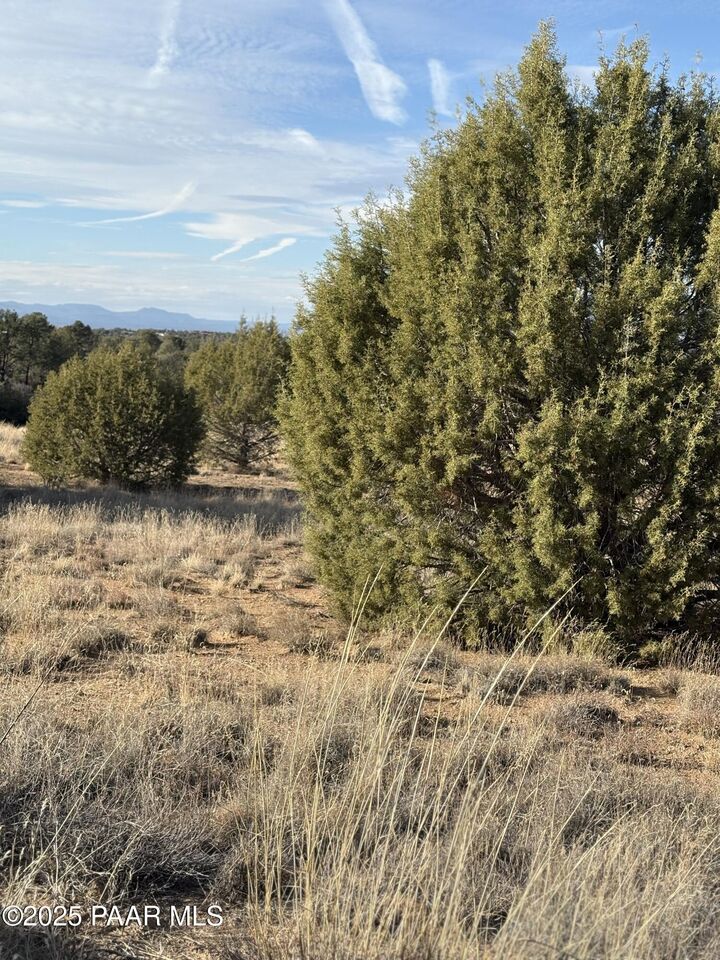 Property Photo:  00 W Young Road  AZ 86305 