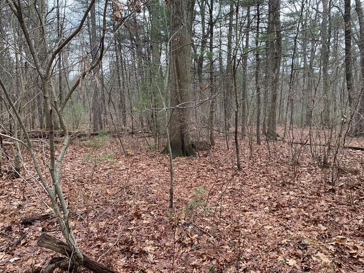 Property Photo: 767 Stony Hill Rd MA 01095