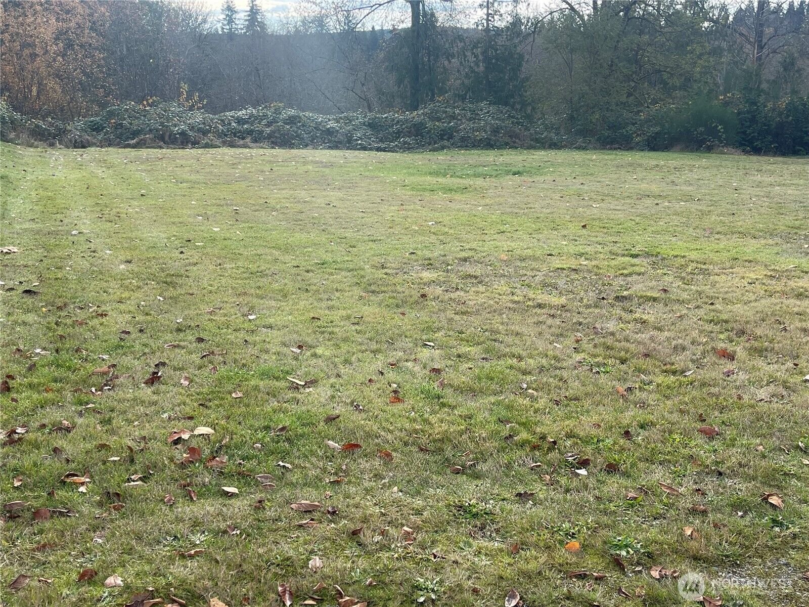 Property Photo: 102 W Grand Street WA 98252