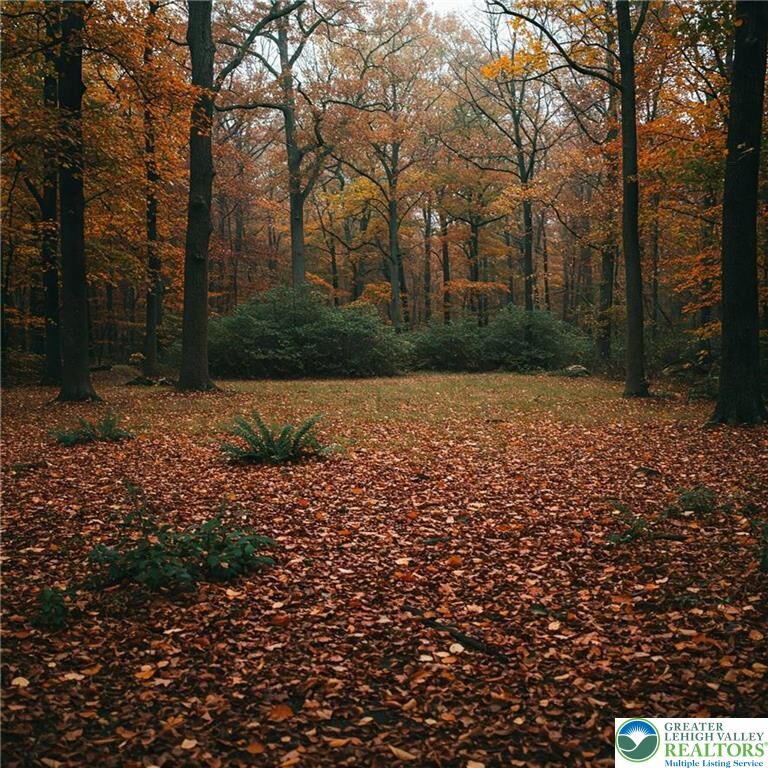 Property Photo:  102 Heavenly Valley Drive  PA 18464 