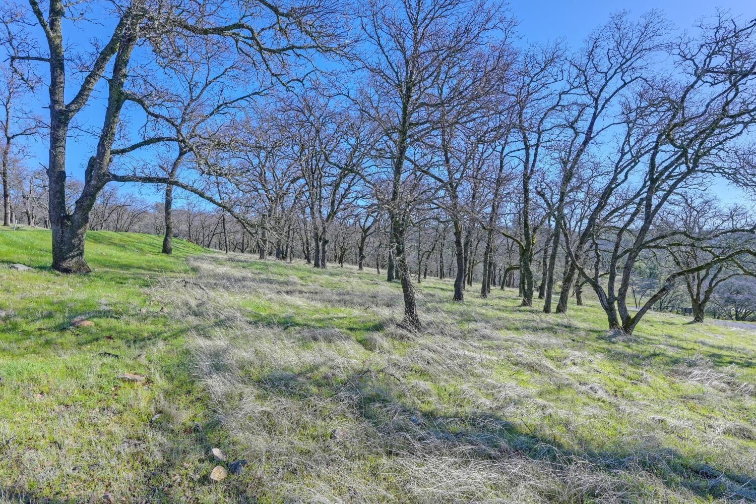 Property Photo: 6725 Western Sierra Way CA 95762