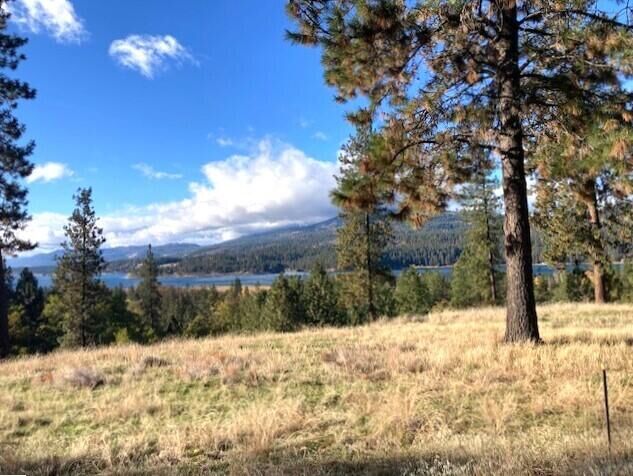 Property Photo: 1353 Lake Roosevelt Way WA 99141