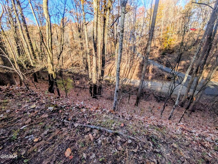 Property Photo: Lot 194A Ski View Lane TN 37876