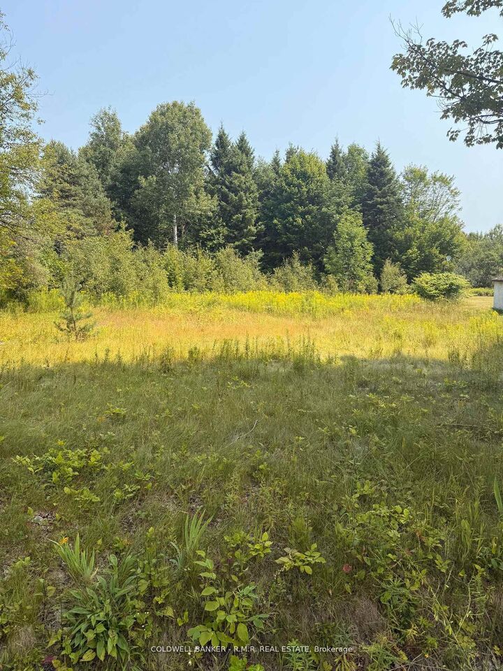 3995 Boulter Road — photo 1