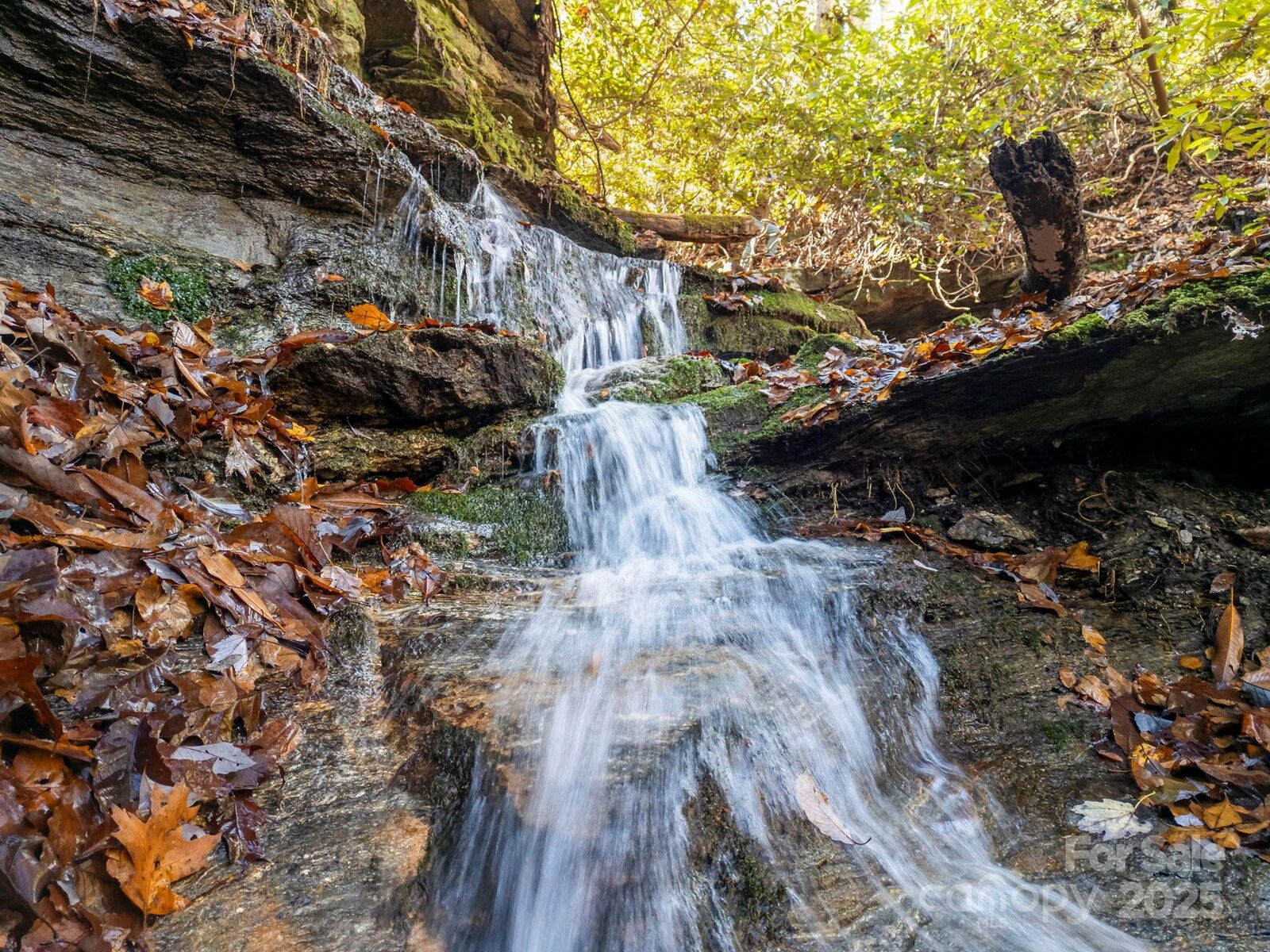 Property Photo: 170 Midnight Sun Lane NC 28762