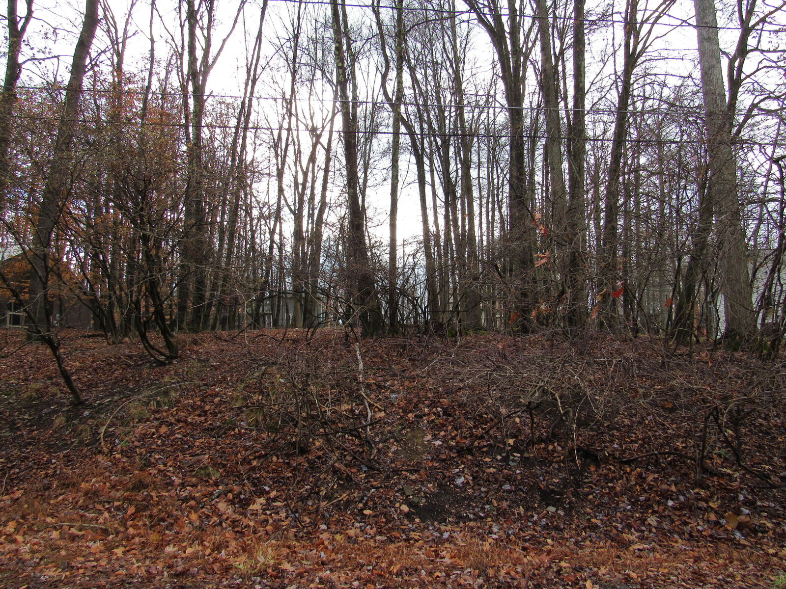 Property Photo:  3 Bucco Reef Rd  PA 15801 